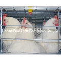 Hot Sale Galvanization Breeder Cage de poulet (type A)